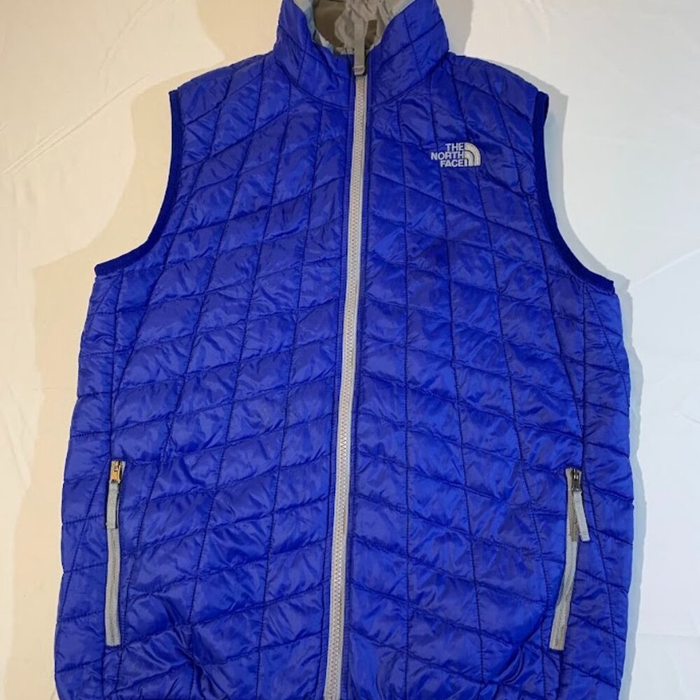 The North Face Blue Quilted Puffer Vest